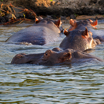 African skies Zambezi Adventure Package