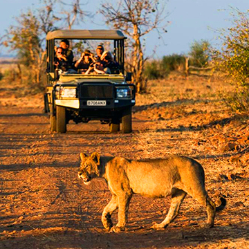 Overnight camping on the Zambezi victoria-falls-waterfront-chobe safari drive.jpg (233 KB)